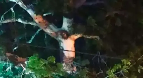 colombie-une-foule-de-croyants-brave-le-confinement-apres-lapparition-de-jesus-christ-dans-un-arbre