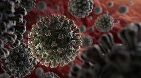 coronavirus symptômes légers
