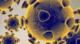Coronavirus : l'état va aider les SDF