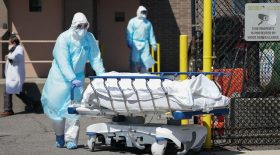 new york cadavres coronavirus
