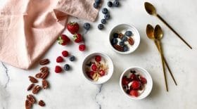 recette-du-frozen-yogurt-le-petit-delice-glace-lete