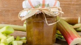 confiture-de-rhubarbe-la-future-star-votre-petit-dejeuner