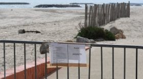 couple verbalisé ébats sexuels
