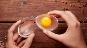oeufs vegan ingénieurs