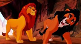 Roi LIon