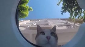 videosurveillance-il-filme-linterieur-dun-bol-deau-dans-la-rue-et-decouvre-des-images-incroyables