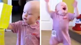 bébé