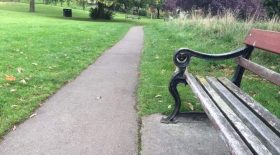 chien jardin