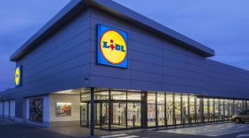 lidl sneakers