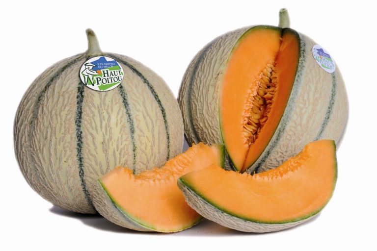 4 astuces essentielles pour bien choisir son melon