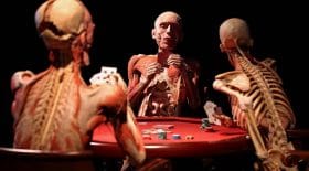 musée cadavres humains