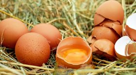 oeuf