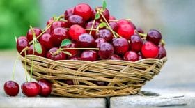 puis-je-ramasser-des-cerises-nimporte-ou