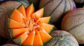 rappel-de-produit-les-magasins-u-rappellent-des-melons-contamines