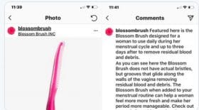 blossom brush règles brosse gynécologues