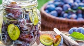 compote-de-prunes-une-recette-estivale-pour-se-faire-plaisir