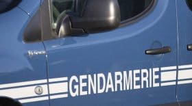 nouveau né bébé carton vétérinaire