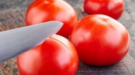 tomates