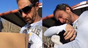 père chiot berger allemand