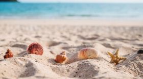 Cet accessoire pourrait bien gâcher vos vacances