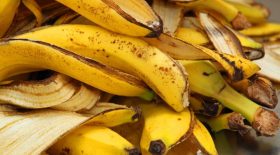 Découvrez les bienfaits des pelures de bananes