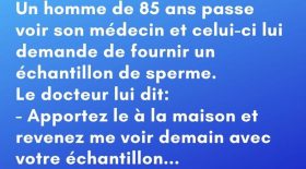 Les vieux pots