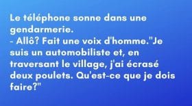 La blague du poulet