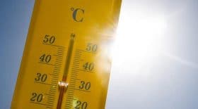 canicule laisse enfants voiture