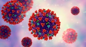 coronavirus mutation virus moins infectieux