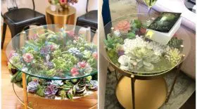 Ils redécorent leur intérieur