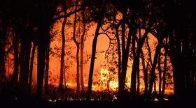 Violent Incendie à Martigues