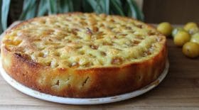 clafoutis-aux-prunes-un-delice-de-saison-a-sen-lecher-les-doigts