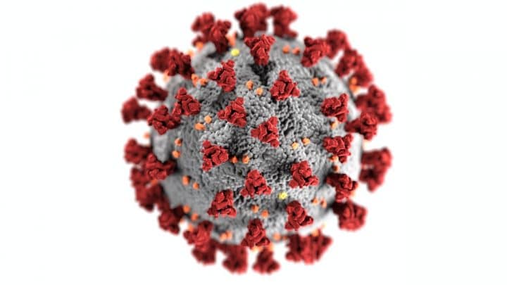 Le Coronavirus s'attaque à certains départements français