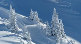 hiver