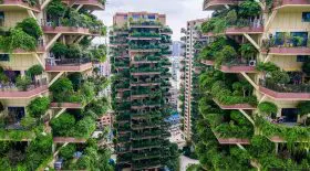 immeubles végétalisés