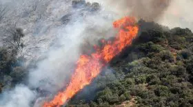 Une famille provoque un monstrueux incendie lors d'une gender reveal party
