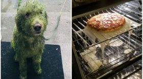 Découvrez les pires mésaventures de ces personnes