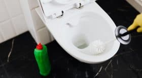 Ménage dans les toilettes