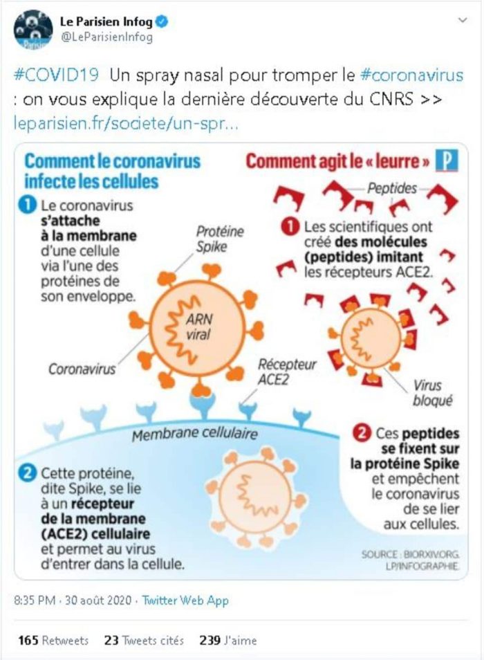 explication-remede-anti-covid