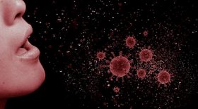 aspergillose-invasive-une-terrible-maladie-qui-se-cache-dans-oreillers