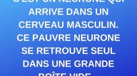 Un neurone arrive dans un cerveau masculin