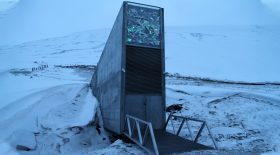 bunker apocalypse porte secrète