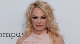 pamela anderson sexy nuisette