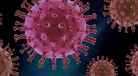 virus