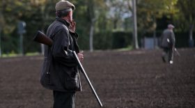 Les chasseurs seront munis d'une dérogation pendant le confinement