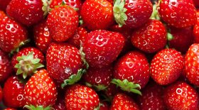 fraises