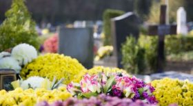 Il fleurit les tombes des défunts oubliés avec les chrysanthèmes invendus