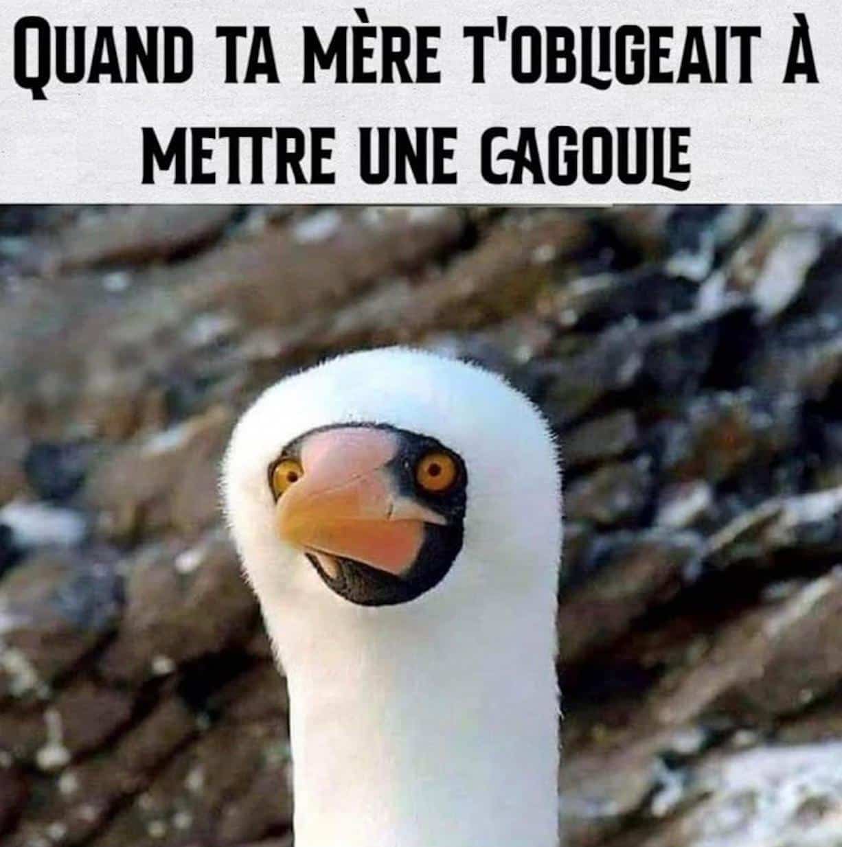 Blague de promo merde