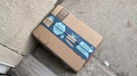 elle piège un faux colis amazon avec de la litière