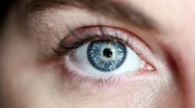 yeux bleus